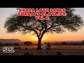 Shona Love Songs Sundays Playlist Vol 2