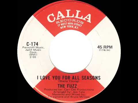 1971 HITS ARCHIVE: I Love You For All Seasons - The Fuzz (mono 45)