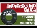 johnny guitar watson - she moves me (rpm)