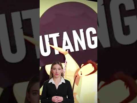 Stabilitas keuangan adalah kunci menuju keamanan finansial. Yuk, simak tips-tipsnya untuk menjaga arus kas kamu tetap la...