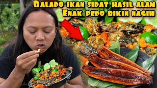 Download lagu BALADO SIDAT SPICY GOURMET DELICIOUS TO MAKE YOU NUTRITION mp3 Download lagu BALADO SIDAT SPICY GOURMET DELICIOUS TO MAKE YOU NUTRITION mp3
