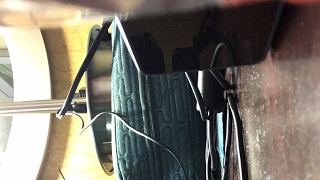 Taylor Phelan | Hotel Concert, Feb 16