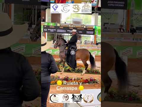 Carraspa y Ruleta - Feria de las Flores 2025 ​⁠@asdesillacomunicaciones1983