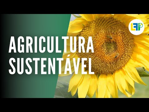 AGRICULTURA SUSTENTÁVEL #1