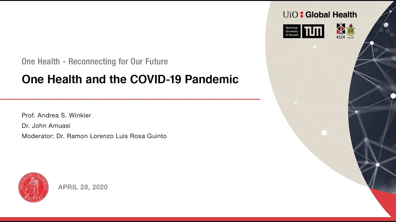 One Health and the COVID 19 <br>Pandemic