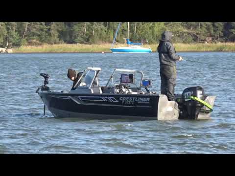 Ruoto Predator Classic 2020 Ahven purulla