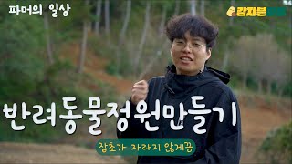 반려동물치유농장 펫정원만들기를 계획하고있습니다