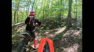 The Holler