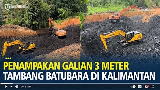 Download lagu Viral Penampakan Galian 3 Meter Tambang Batubara di Kalimantan mp3