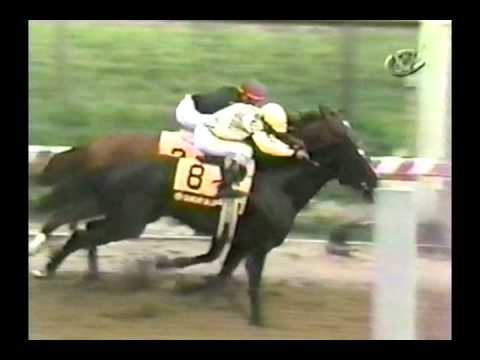 Run For The Crown - 1989: Sunday Silence & Easy Goer