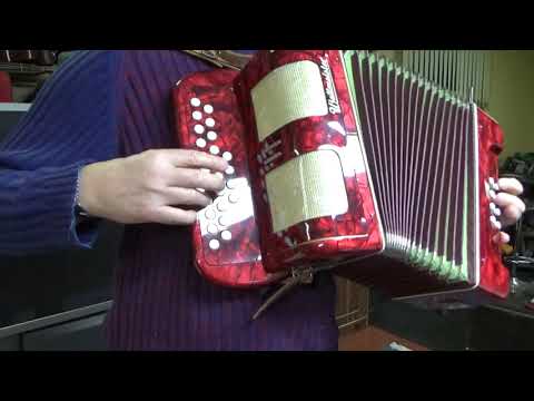 WELTEMEISTER 8 bass diatonic button accordion