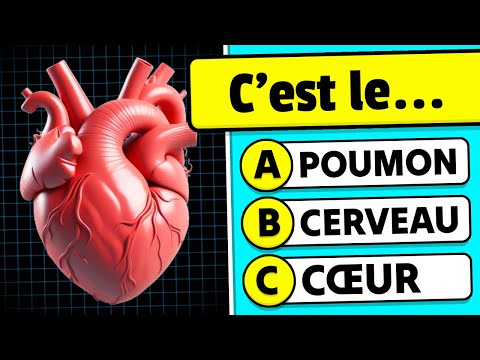 🧠 Connais-tu le Corps Humain...? 🧍💪🧬 Quiz de Culture Générale sur l'ANATOMIE