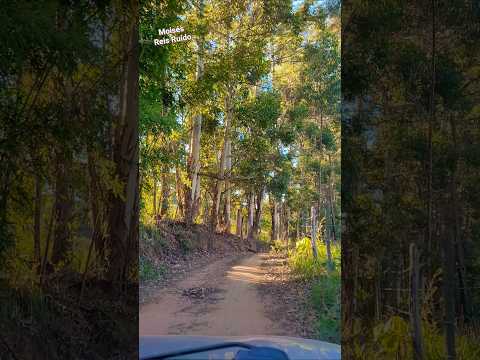 Estrada rural de joanésia Minas #shorts