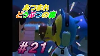 旅行を決意する日【あつまれどうぶつの森】＃２１