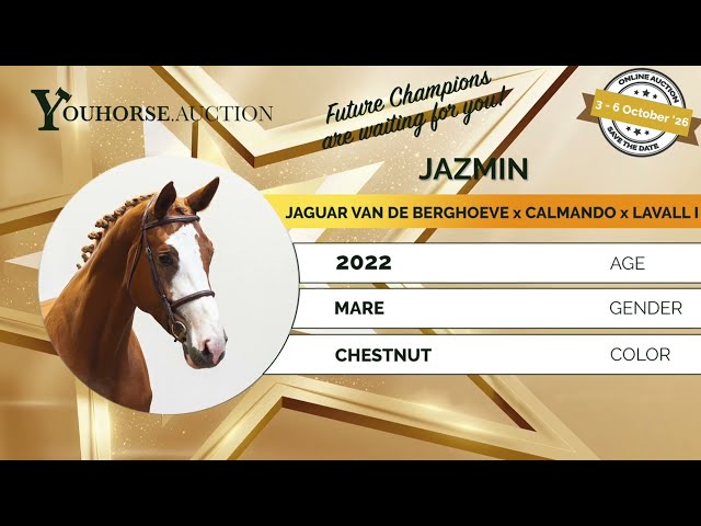 Jazmin impressionvideo