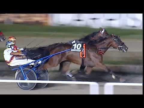 Napoli Trotto 01/09/2023 - 6ª corsa