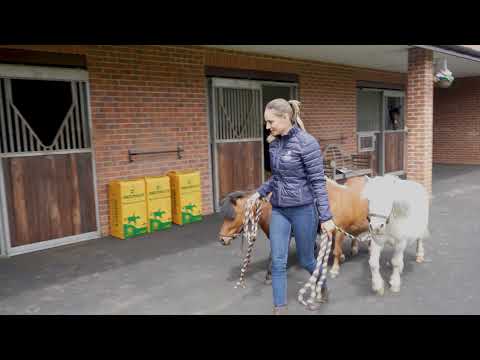 How to use Littlemax