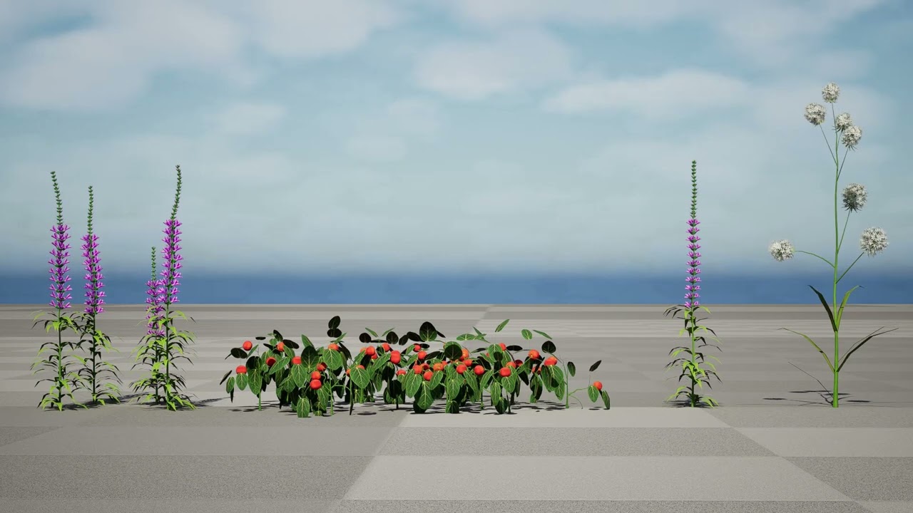 North American species 3D Model