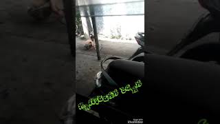 Download lagu Samboyo putro banyu langit mp3 Download lagu Samboyo putro banyu langit mp3