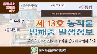 농작물 병해충 발생정보 13호 발표(2022.10.06~2022.11.09)