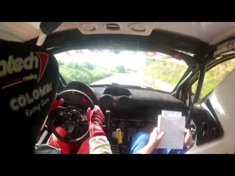 Rally Camaiore 2015 Cameracar Paolini Canigiani Ps4