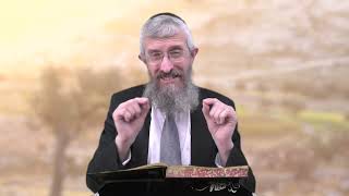 מסכת מנחות דף קד - 8 דקות של לומדות ועמקות בדרך הלימוד הישיבתית [Menachot 104]