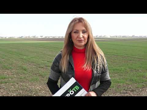Agro karavan ep.255 - Inđija - 27.11.2022.