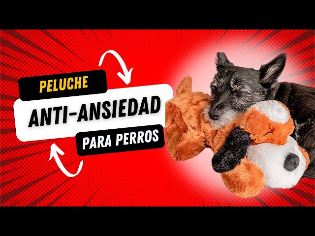 Vídeo relacionado con Juguete masticable para cachorros de peluche,Juguete para perros de peluche - Juguetes masticables con forma de hueso de felpa para perros,Juguete de masticación de felpa con forma de hueso de perro s