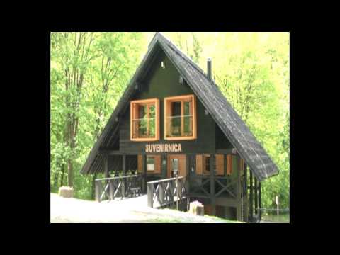 Reportaža sa Jankovca u Regionalnom dnevniku Plave TV