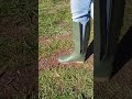 Walking In Ridingboots With Open Shafts