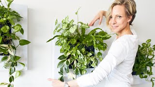 Caring For My Live Frames - Green Moments With Juliette Ep #07