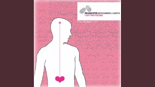 I Got This Feeling (Milk & Sugar Radio Mix)