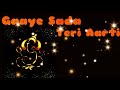 Siddhi Vinayak Jay Ganpati Gaye Sada Teri Aarti Ganesh Chaturthi Status