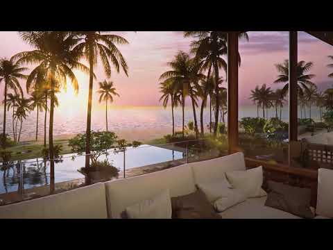  1500m2 - video