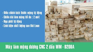 Máy làm mộng dương 2 đầu CNC WM-D200A