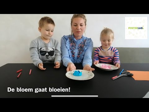 Het Peuterlab thuis! (samen een bloem maken)