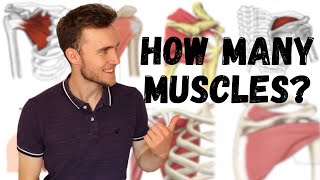 Understanding the Rotator Cuff | What Is It and Why Should I Care?