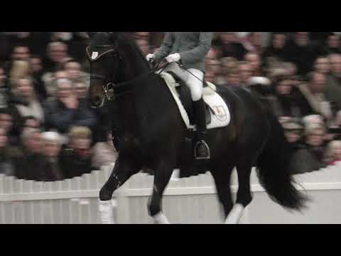 Auf der Hengstvorführung mit Buckingham