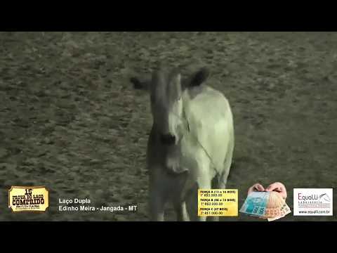 15ª prova de Laço Comprido - Edinho Meira - Jangada - MT