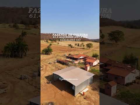 Fazenda de cultura 61.4 alqueires (297,5 hectares) Edealina-GO #fazendaavendaemgoias #agro
