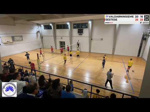 Coppa biancorossa U15 maschile ValdarnInsieme vs Sestese