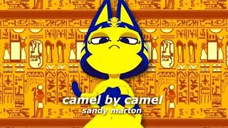 시그댄스 맞추기 썸네일