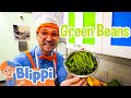 Chef Blippi S Yummy Veggies Blippi Learns Learn Colors And Science With Blippi