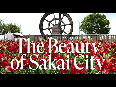The Beauty of Sakai City Fukui