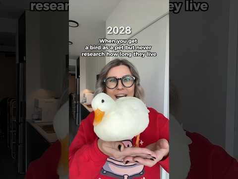 PET DUCKS can live up to 20 YEARS  #shorts
