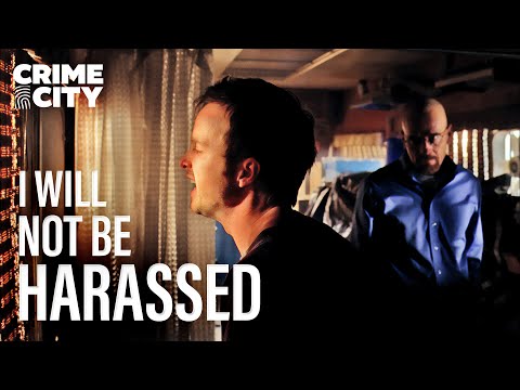 Private Domicile, B*TCH | Breaking Bad (Aaron Paul, Bryan Cranston)