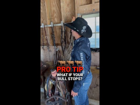 What To Do If Your Bull Stops Bucking