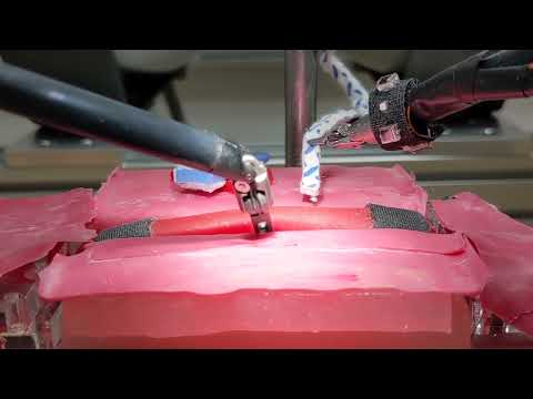 The BioRobotics Institute, Scuola Superiore Sant'Anna, Italy - Da Vinci Research Kit platform