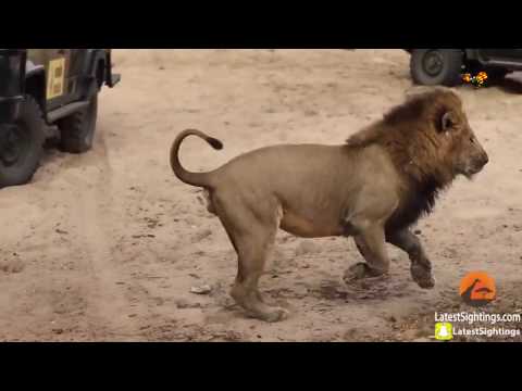 Försvarsministern använde regeringsplanet till safari-resa