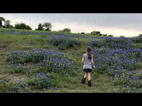 download lagu mp3 mp4 Bluebonnet Family Pictures, download lagu Bluebonnet Family Pictures gratis, unduh video klip Bluebonnet Family Pictures